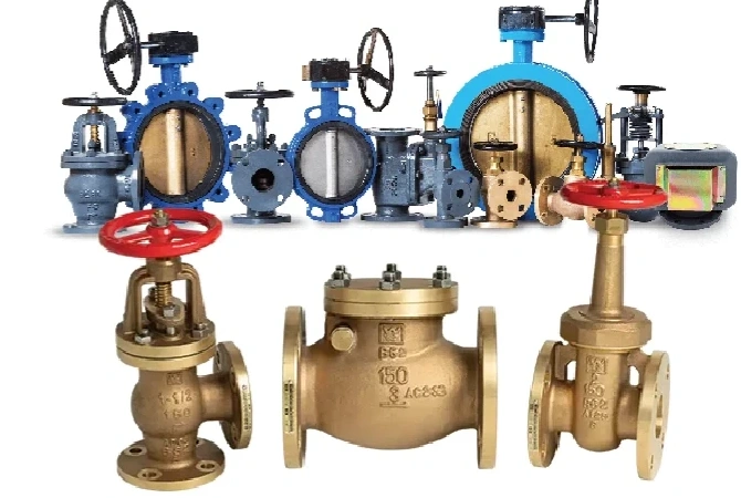Industrial Valves (Ball, Gate, Globe, Check, Butterfly) - PT. Sentral Solusindo Perkasa Batam